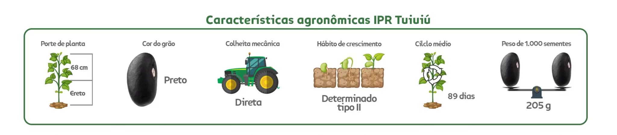Características agronômicas Feijão Preto Tuiui