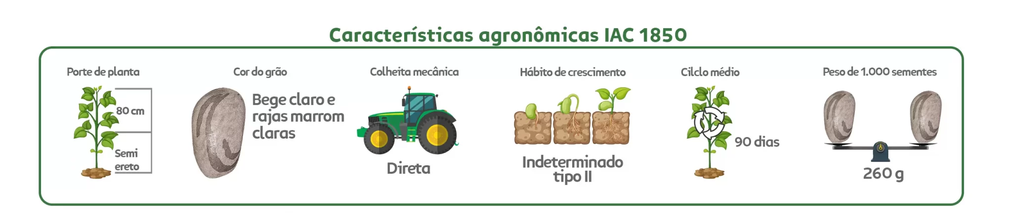 Características agronômicas Feijão IAC Carioca 1850