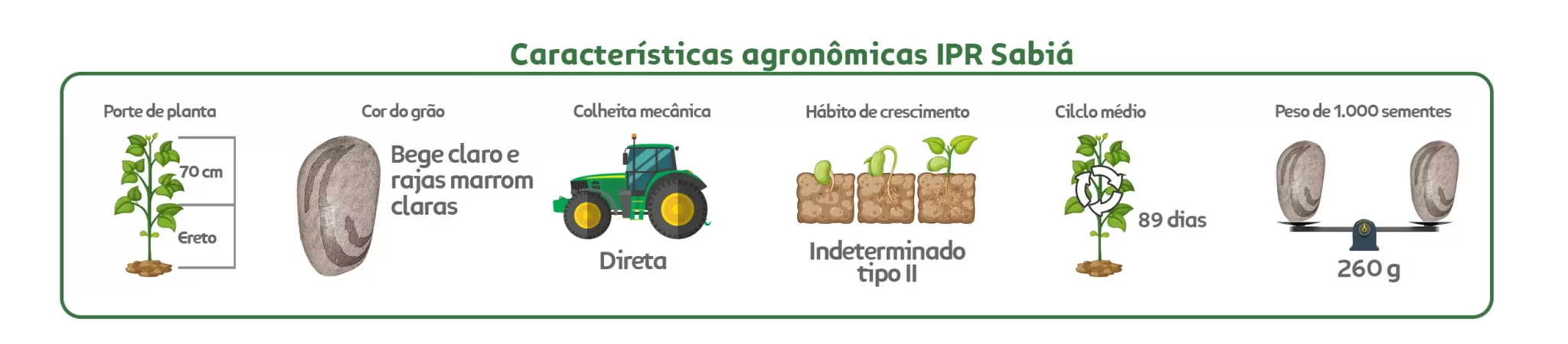 Características agronômicas Carioca IPR Sabiá